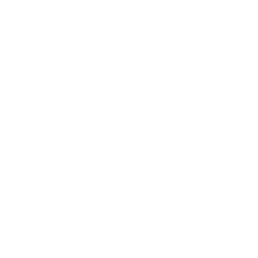 SOLON